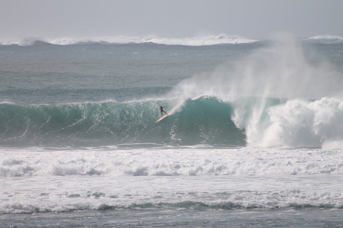 Kaya's Big Wave Season and Winter Season Top Picks