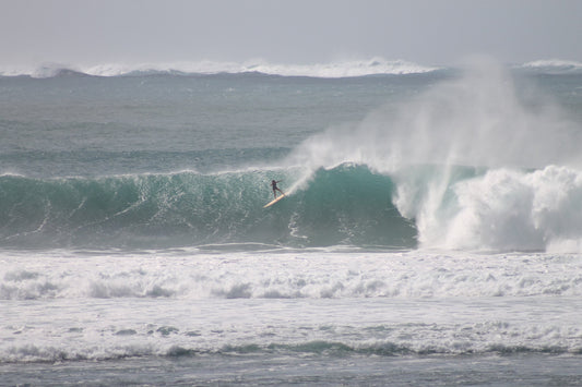 Kaya's Big Wave Season and Winter Season Top Picks