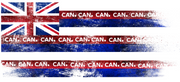 Hawaii CAN. Stainless Steel Water Bottle