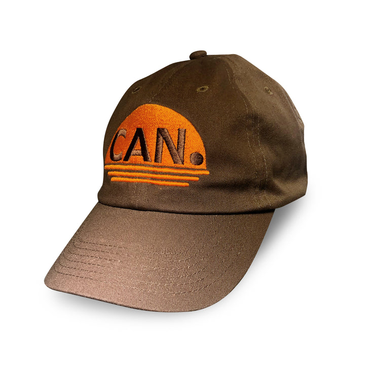 women's brown hat