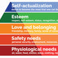 CAN. Concept  - Maslow Sticker